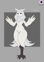 Snowy Owl Adopt-CLOSED