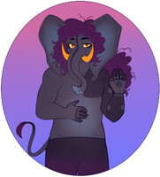 Stream com- Stoneyelephant