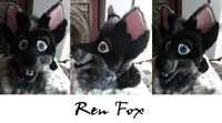 Renfox