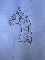 First SandWing Drawing