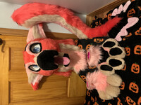 Mingo the Dutch Angel dragon