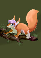 Lunora the squirrel