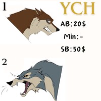 Balto YCH (open)
