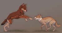 doggy commission.