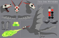 Tex the Wyvern Reference - Blank Version
