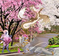 Sakura time