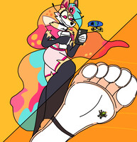 Bee stomps on spider