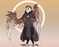 Commission | Barn Owl