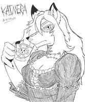 Classy Gothy Lolita Kaimera