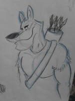 NOT ASSOCIATED WITH ROBIN HOOD....