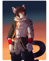 The police will not help you