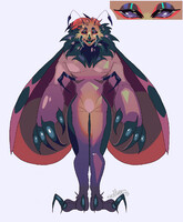 Moth reference