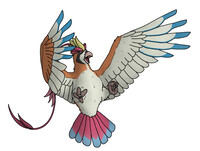018-1 Mega Pidgeot