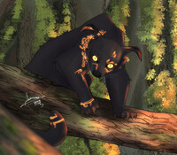 pumpkin as a binturong.