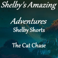 Shelby Short - The Cat Chase