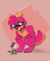 Flower Watching!