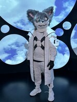 The Wolf and The Sky