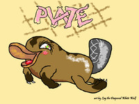 Plate the Platypus [Art by Lay]