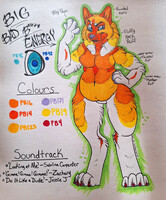 Norwegian Elkhound Adoptable