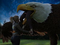 Free part - Feeding the Eagle 17A