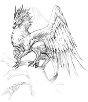 Furagon