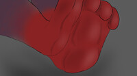 Aym paws