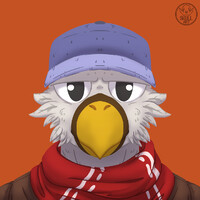 “All aboard!”~ Stevie Gull