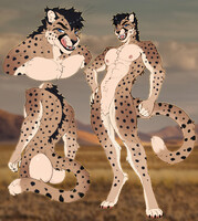 Cheetah adopt (sold)