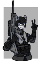 DusterFox (Comm)
