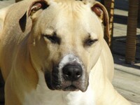 Getting... sleepy...