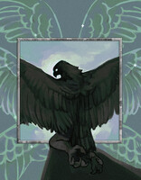 False Seraph / Out of Frame