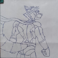 Subatomic Raccoon