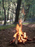 Something primordial...
