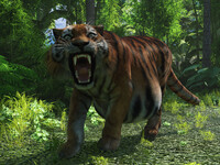 Meet Tom Tiger by Vyusur 1