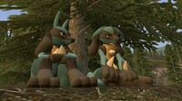 Do I deserve to be Lucario?