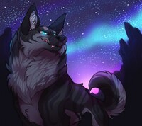 A Starry Desert Night