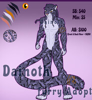 feline adoption 1 Snow Leopard