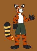 Tiger Panda Needs A Name