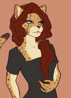 Commission: 13 (ver.1)