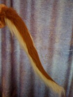 Tail for Scratch