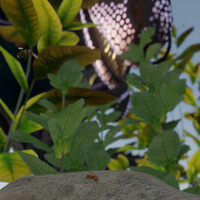 Bottom of the Food Chain (View 2 of 4)