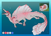 Spino ADOPT