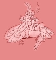 Moth sketch