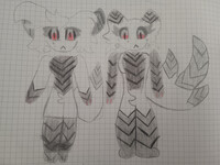 Morpho (my new tipe)