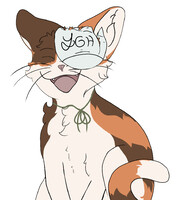 Kibby Cat!!!