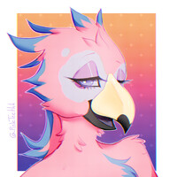 Pretty bird !