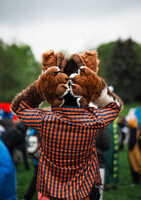 Gotta let the horns out