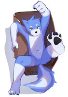 wolf for sale