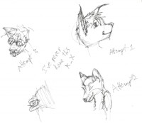 first sketchs ever of anthro faces