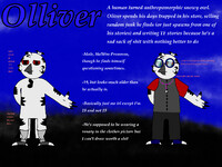 My Fursona Ref Sheet